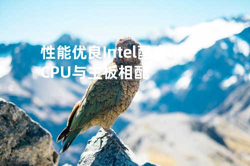 性能优良 Intel 酷睿i5 CPU 与主板相配