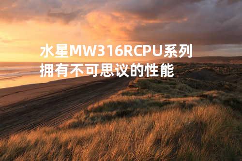 水星MW316R CPU系列拥有不可思议的性能