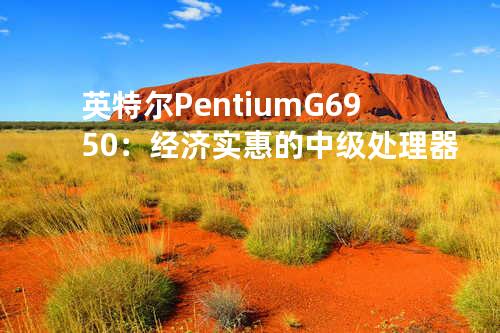 英特尔Pentium G6950：经济实惠的中级处理器