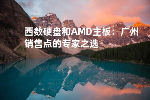 西数硬盘和 AMD 主板：广州销售点的专家之选