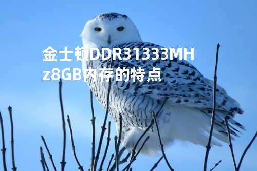 金士顿DDR3 1333MHz 8GB内存的特点