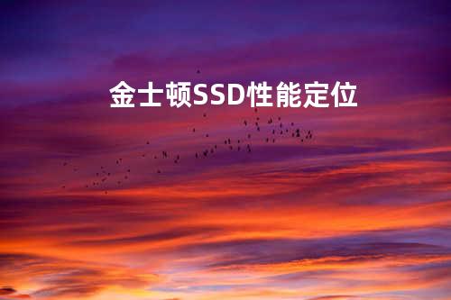 金士顿SSD性能定位