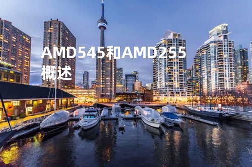 AMD 545和AMD 255概述
