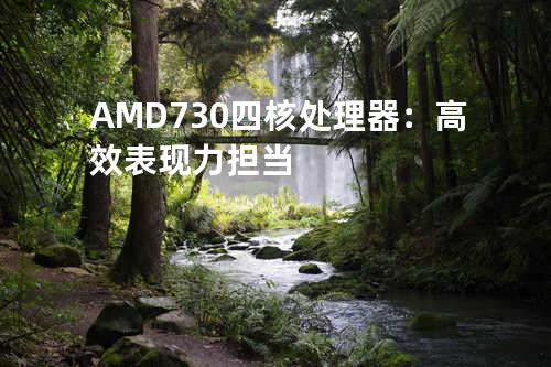 AMD730 四核处理器：高效表现力担当