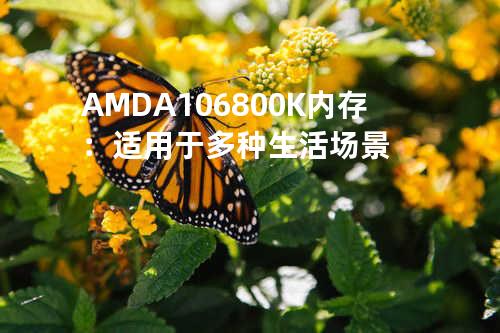 AMD A10 6800K内存：适用于多种生活场景