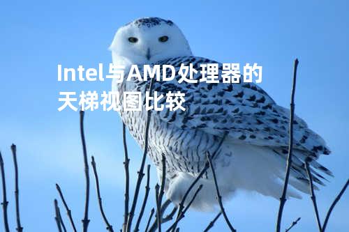 Intel与AMD处理器的天梯视图比较