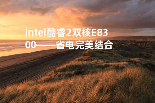 Intel酷睿2双核E8300——省电完美结合